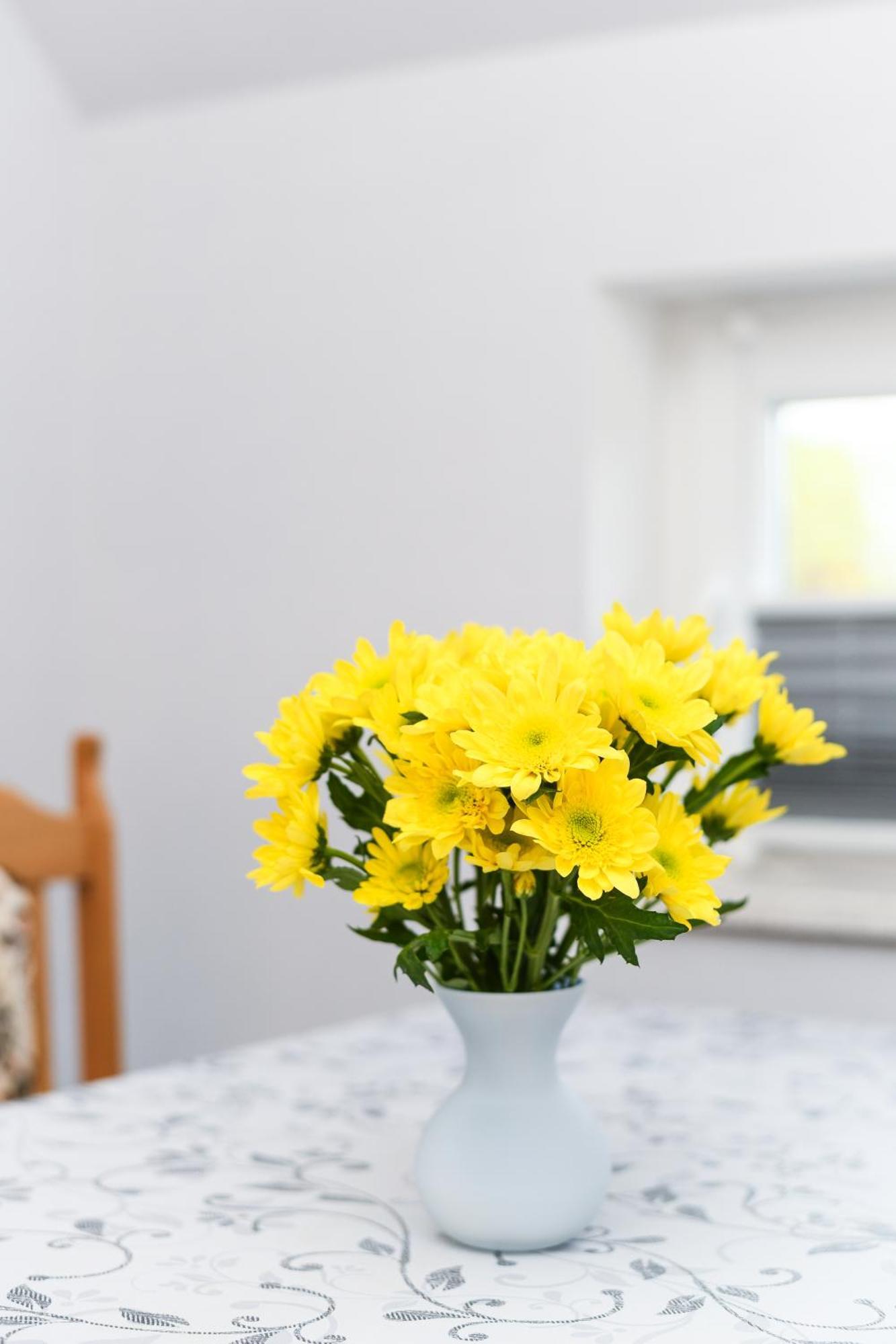 Ferienwohnung Nordmoor Blomberg  Eksteriør billede